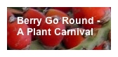 Berry Go Round Badge by Mary at panamaplants.net
